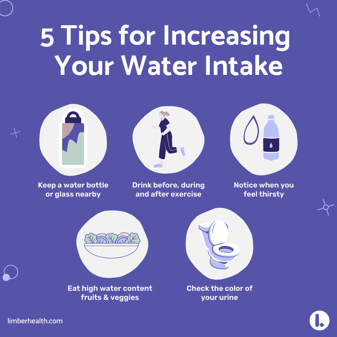 Featured image for The Crucial Role of Hydration: How Water Impacts Your Overall Health
