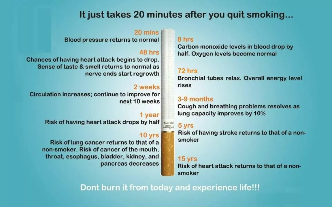 Featured image for The Impact of Smoking on Oral Health: Risks and Strategies for Quitting