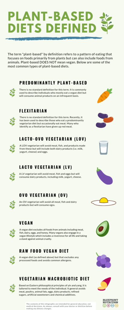 Featured image for Exploring the Benefits of Plant-Based Diets: Vegetarian and Vegan Nutrition