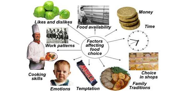 Featured image for The Impact of Environmental Factors on Food Quality: Organic and Sustainable Choices