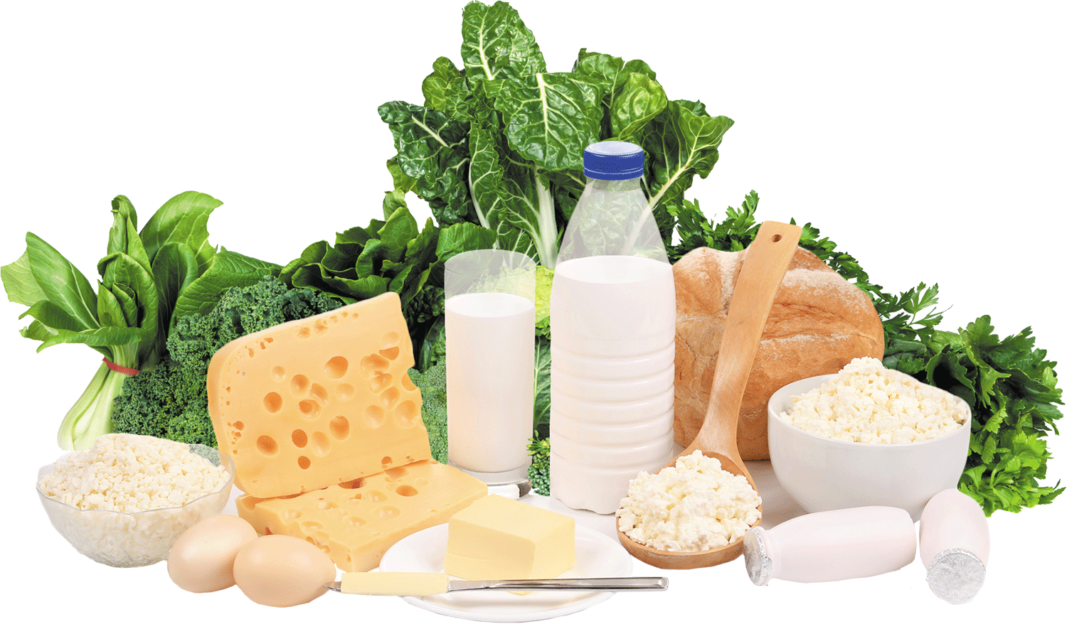 Featured image for Managing Calcium Intake: Supplements, Food Sources, and Bone Health