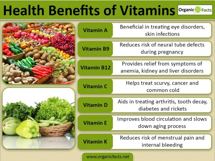 Featured image for Protecting Your Health with Antioxidant Supplements: Vitamin E, Selenium, and Benefits