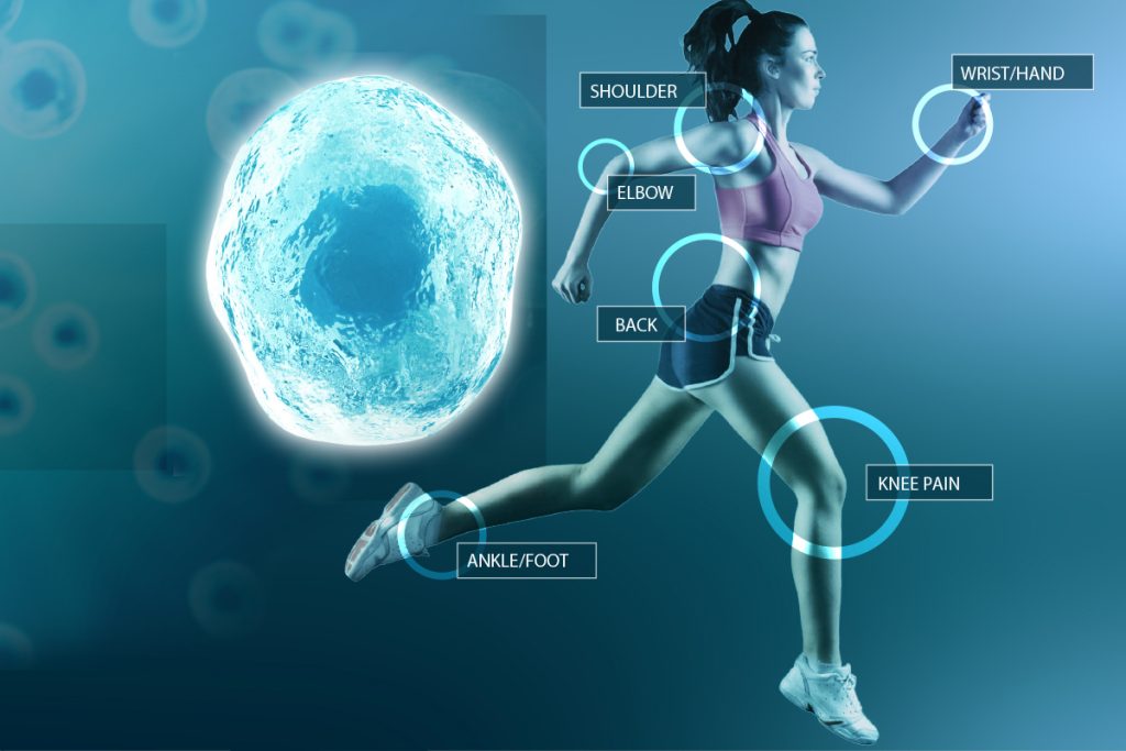 Content image for The Importance of Stem Cell Therapy: Regenerative Medicine and Applications