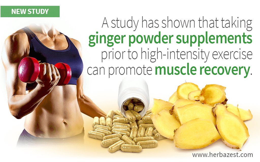 Content image for The Essential Guide to Supplementation for Athletes: Performance and Recovery