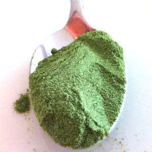 Featured image for Exploring the Benefits of Green Superfood Powders: Nutrients and Detoxification