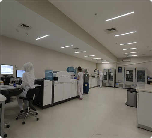 Content image for Boosting Fertility with In Vitro Fertilization (IVF) and Assisted Reproductive Technology