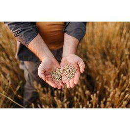 Content image for Decoding the Mysteries of Food and Supplement Synergies: Enhancing Benefits