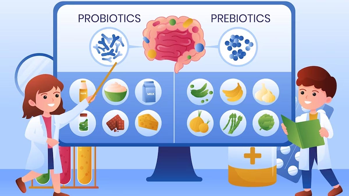 Featured image for Exploring the Benefits of Prebiotics: Gut Health and Probiotic Support