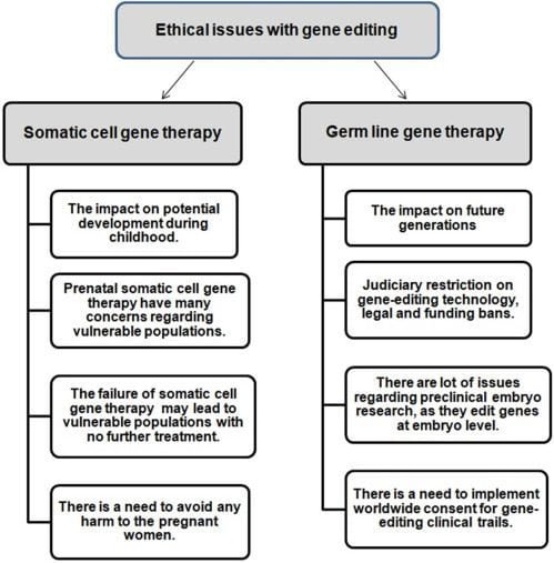 Content image for Decoding the Mysteries of Gene Therapy: Potential and Ethical Considerations