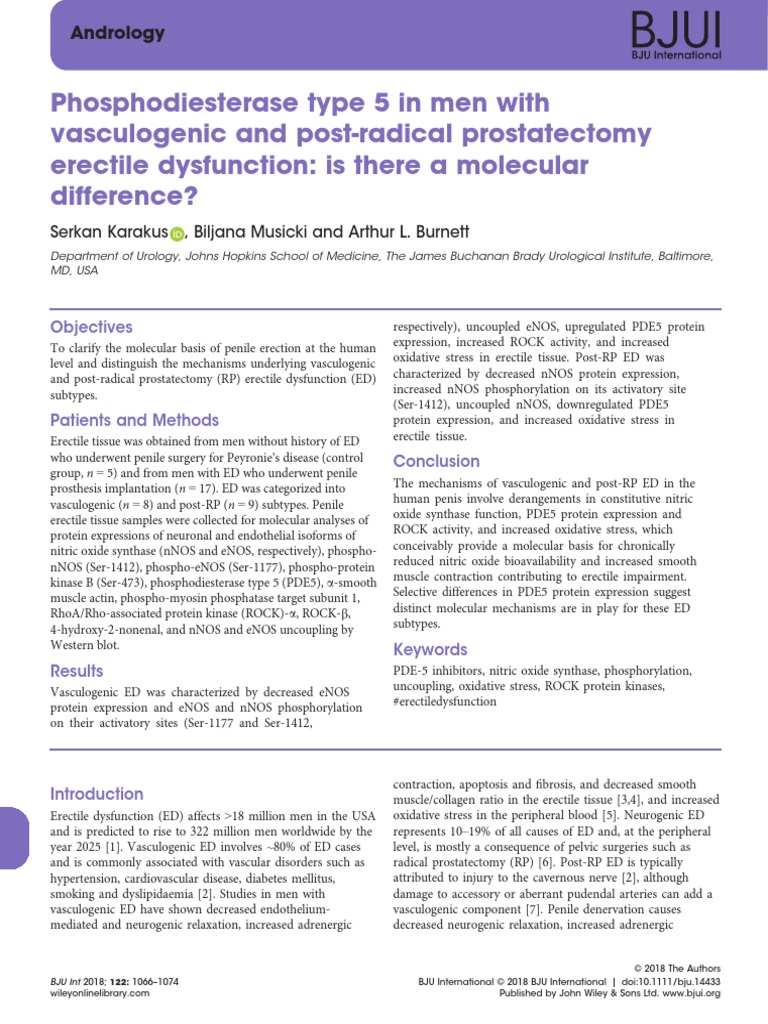 Content image for Decoding the Complexities of Men's Health Treatments: Prostatectomy and Erectile Dysfunction