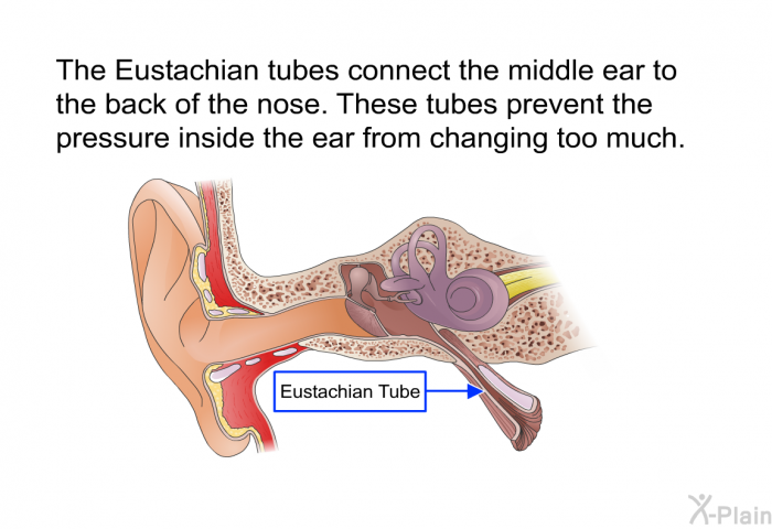 Content image for The Essential Guide to Children's Health Treatments: Tonsillectomy and Adenoidectomy