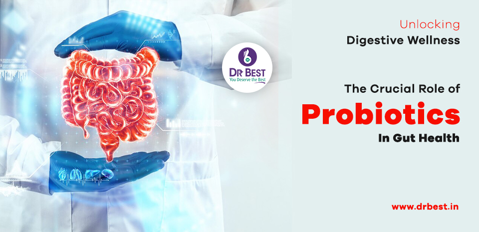 Featured image for The Crucial Role of Probiotics in Digestive Treatments and Therapies